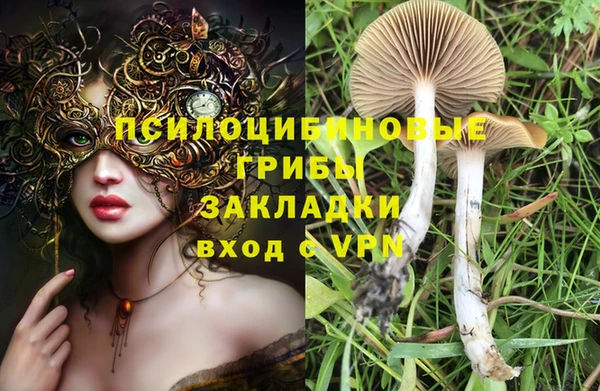 гидра Алексин