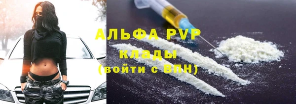 прущие крисы Пересвет