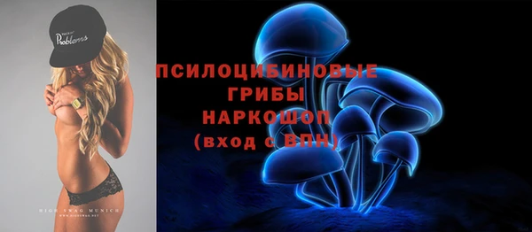 ГАЛЛЮЦИНОГЕННЫЕ ГРИБЫ Абдулино