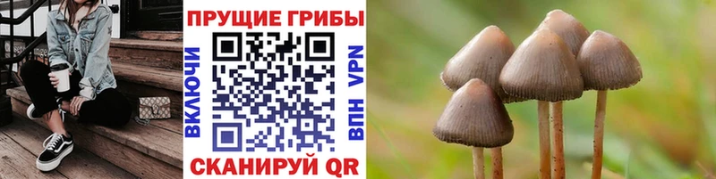 где продают наркотики Устюжна Псилоцибиновые грибы GOLDEN TEACHER